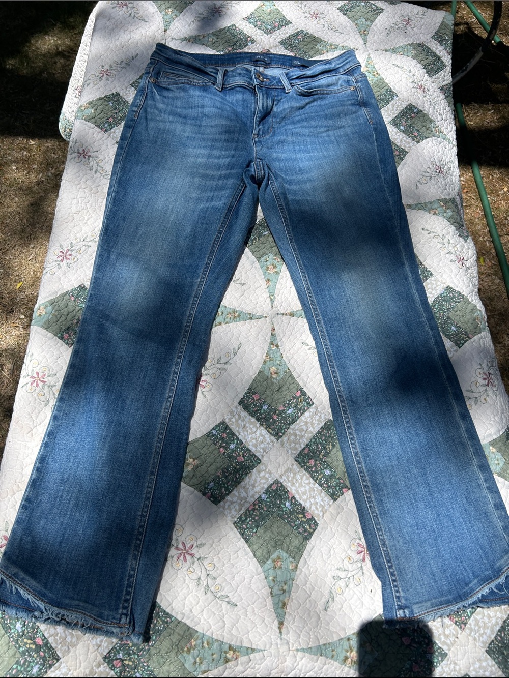 J.Jill Women's Bootcut Blue Jeans